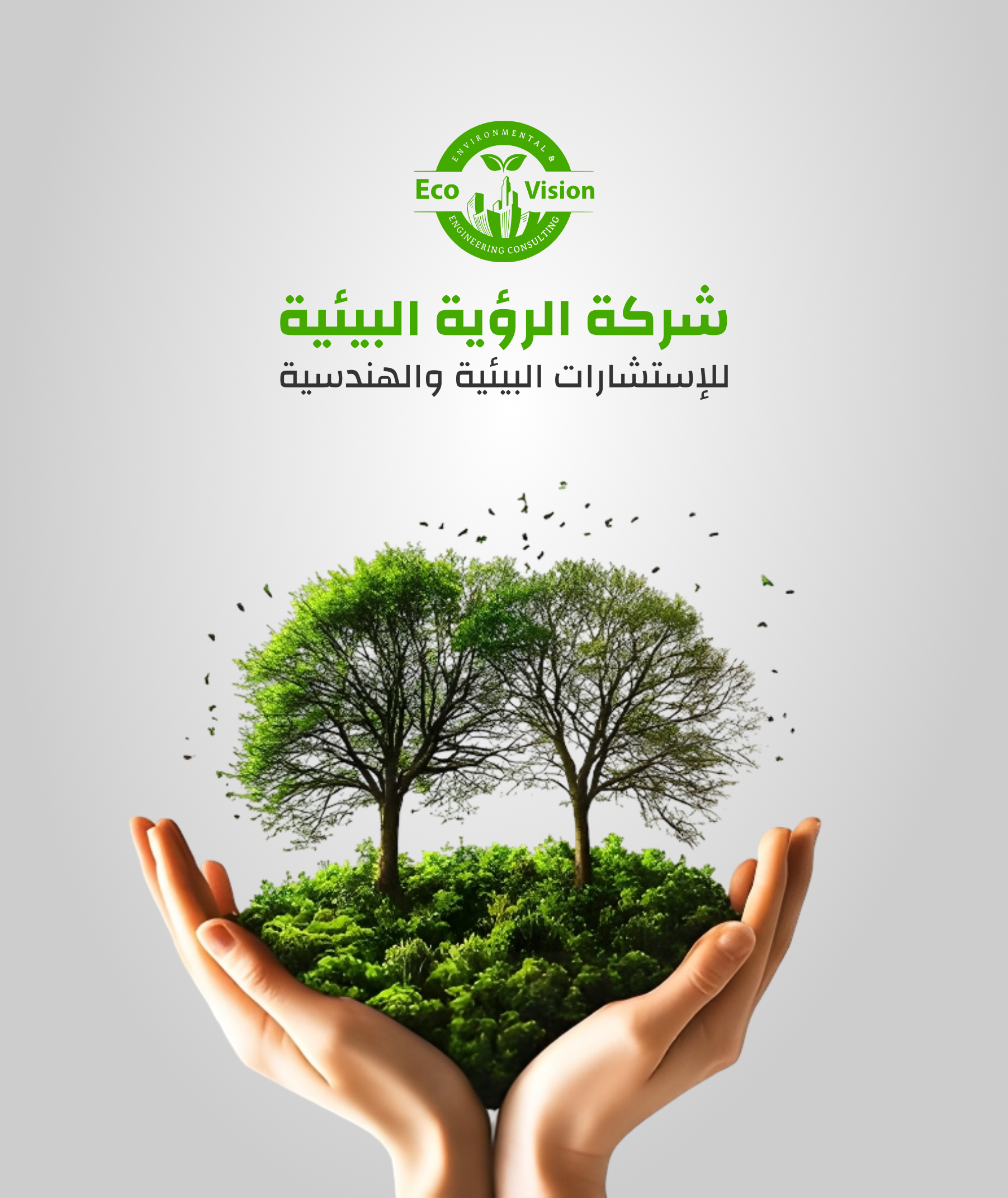 الصورة